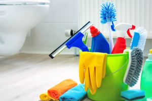 Messie Reinigung Schwerin